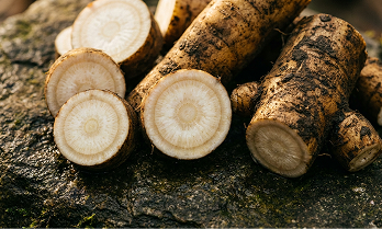 Organic Burdock Root