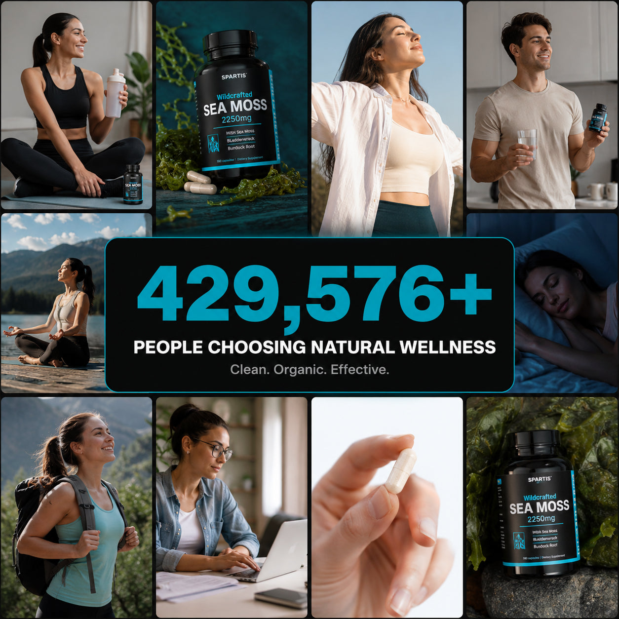 Wildcrafted Sea Moss